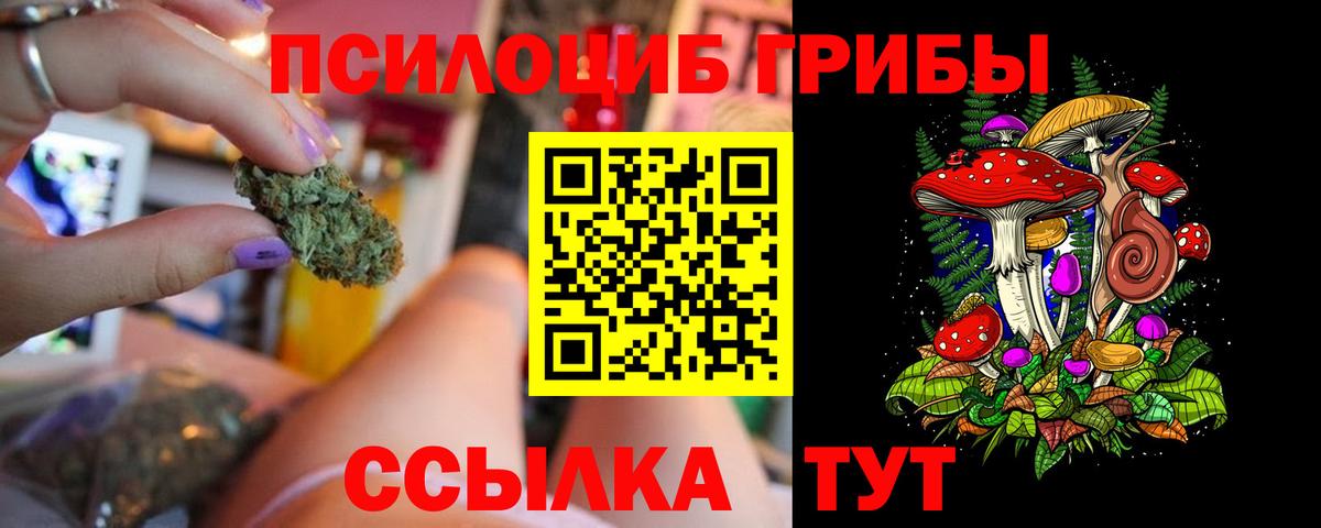 Псилоцибиновые грибы Magic Shrooms  Вход с VPN  Кизилюрт 